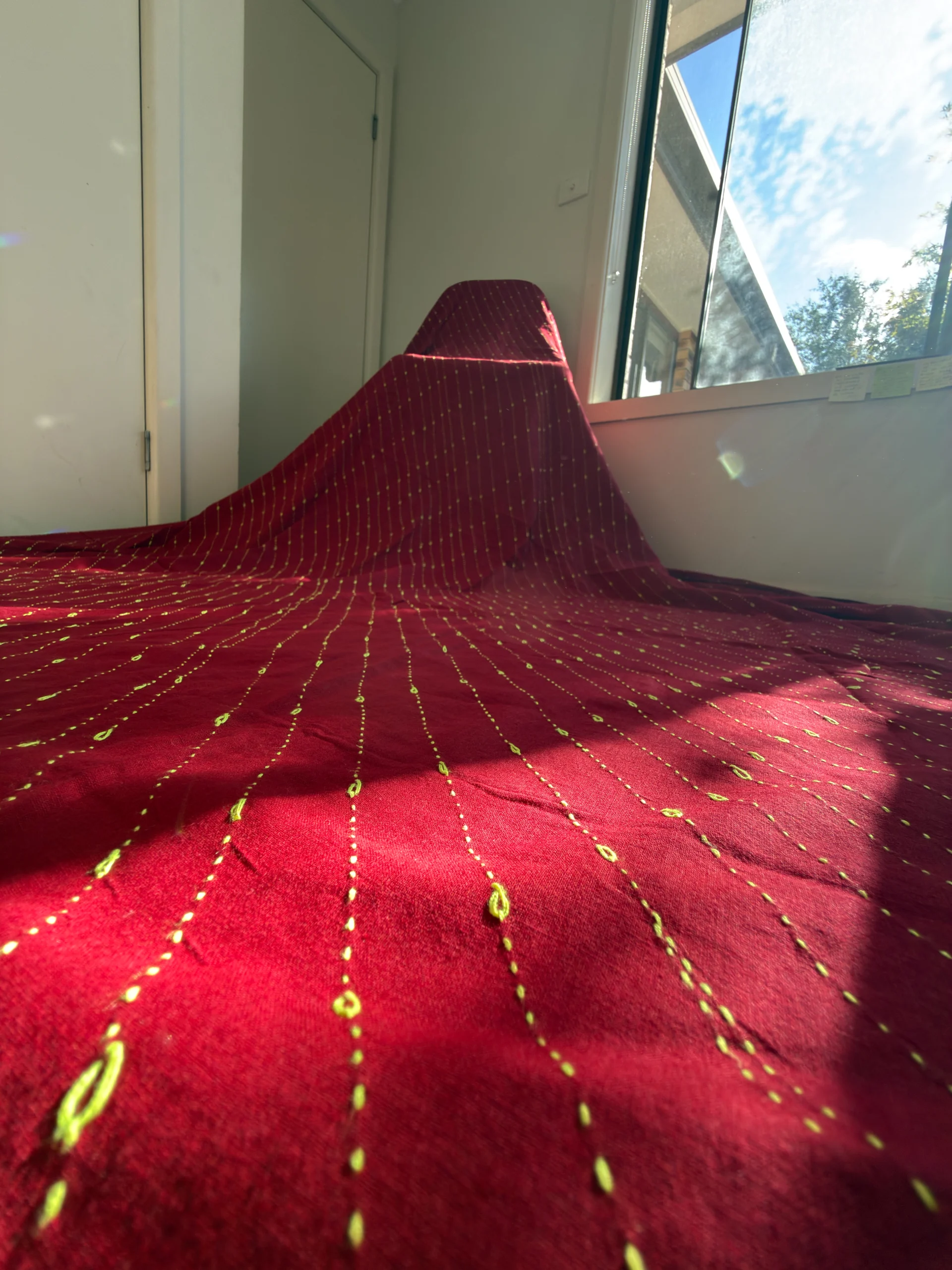 IMG_3805 Crimson Starlight Lines - Image 1